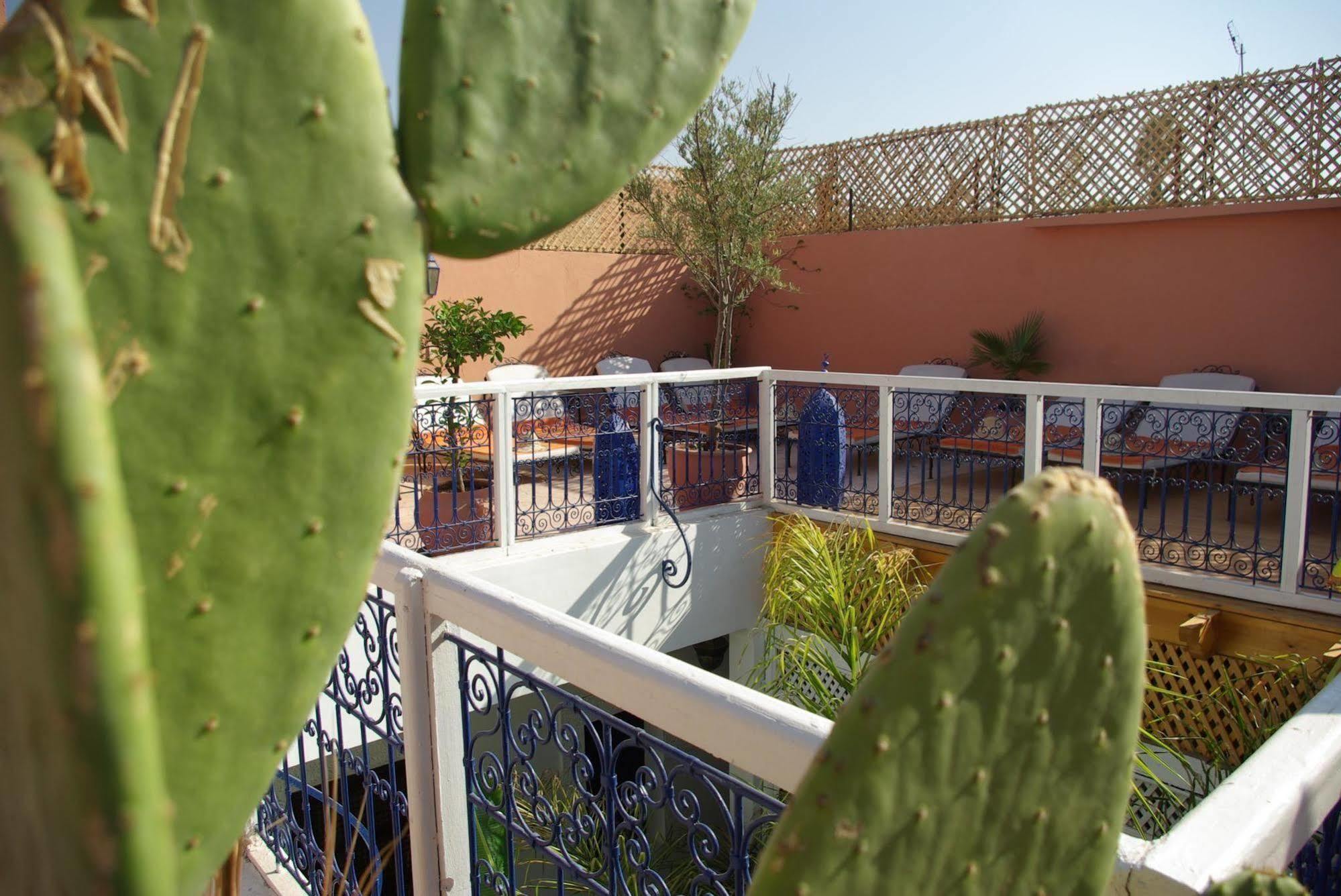Riad Abaca Badra Marrakesh Exteriör bild